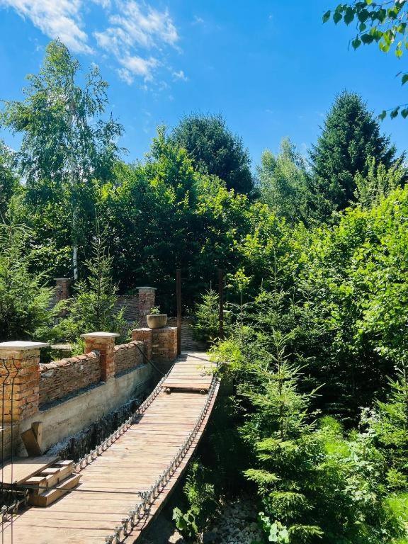 Casa Cu Mesteceni Rîşnov Exteriér fotografie
