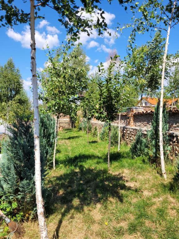 Casa Cu Mesteceni Rîşnov Exteriér fotografie