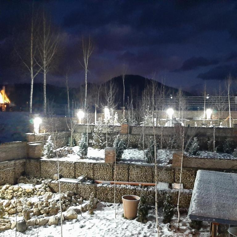 Casa Cu Mesteceni Rîşnov Exteriér fotografie