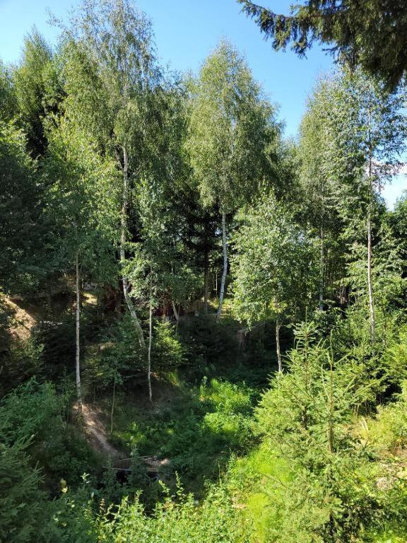 Casa Cu Mesteceni Rîşnov Exteriér fotografie