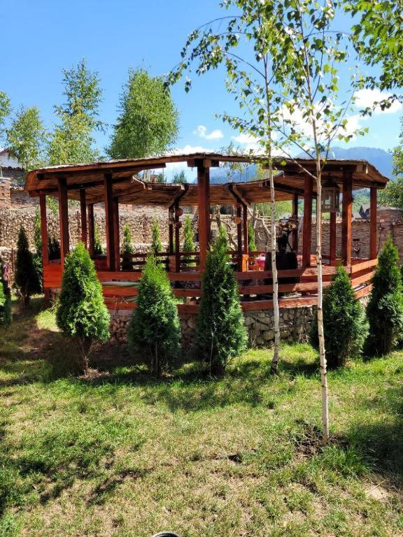 Casa Cu Mesteceni Rîşnov Exteriér fotografie